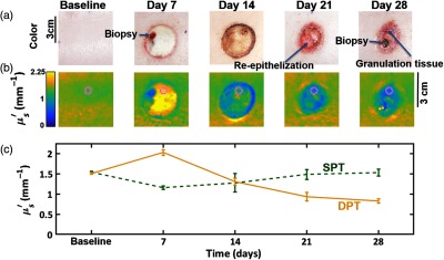 Fig. 4