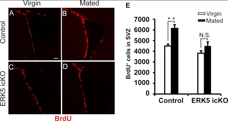 FIGURE 11.