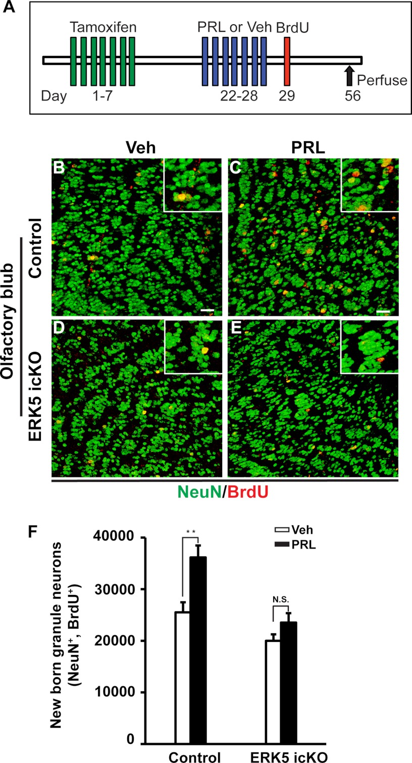 FIGURE 10.