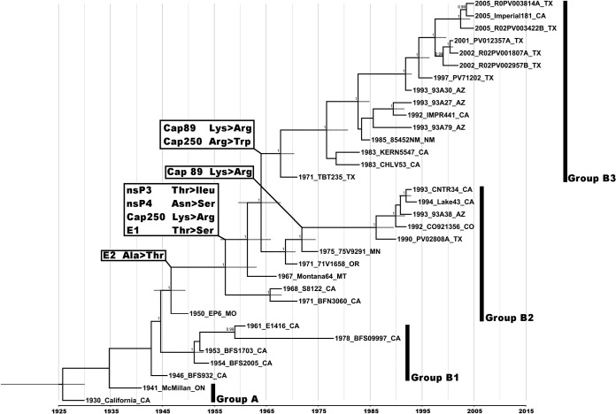 FIG 1