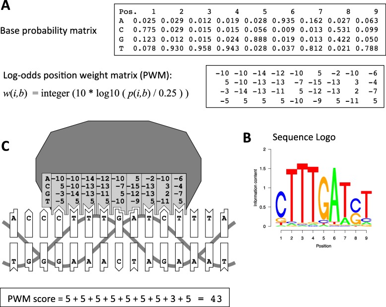 Fig. 1