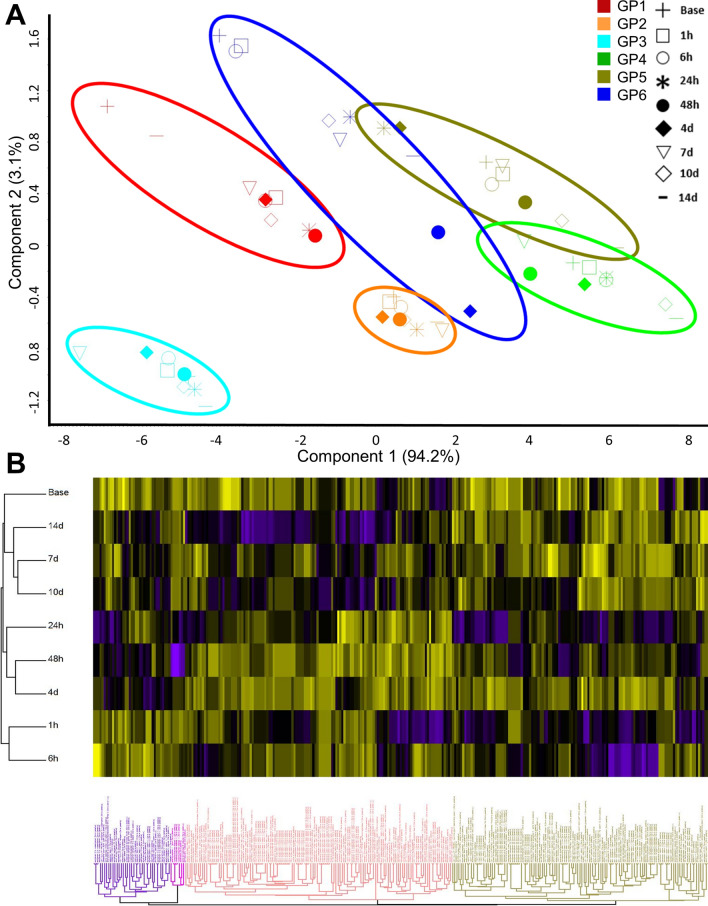 Fig. 1