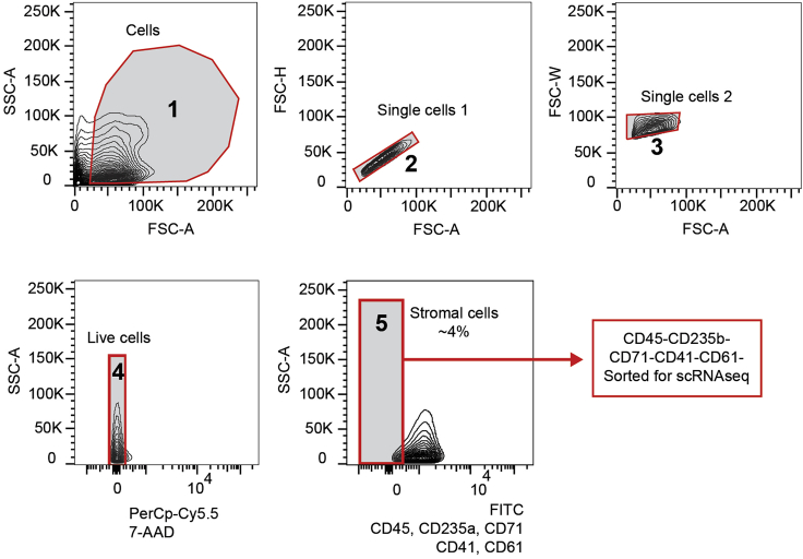 Figure 3