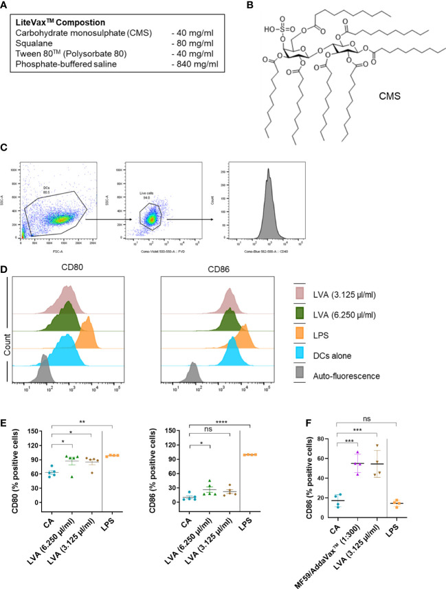 Figure 1