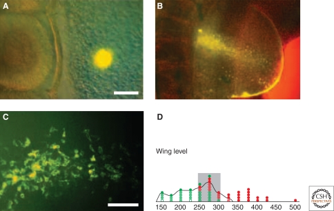 Figure 3.