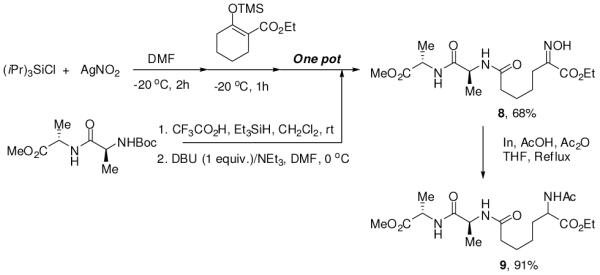 Scheme 3