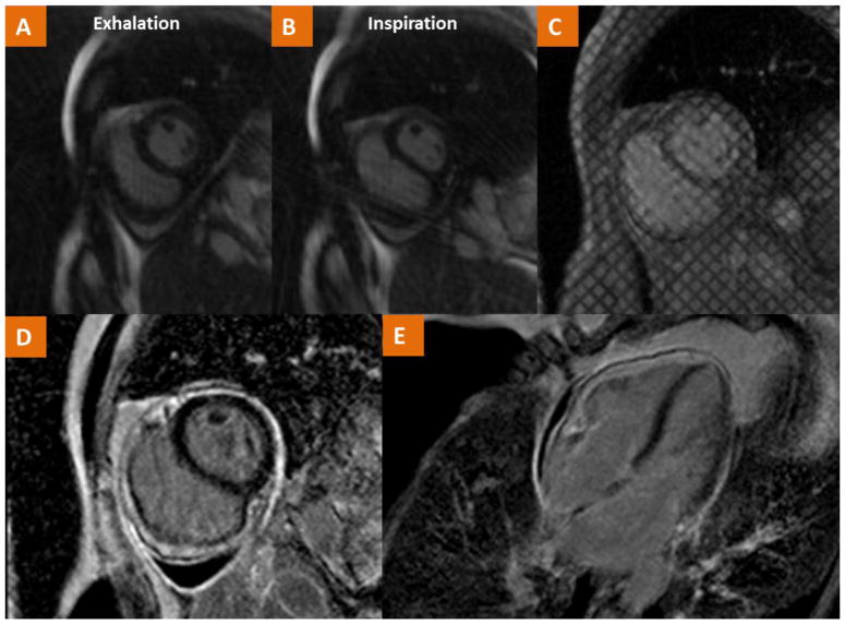 Fig. 8