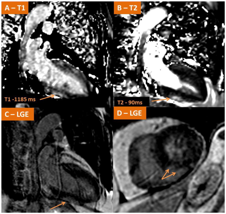 Fig. 7