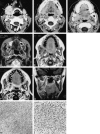 <sc>fig</sc> 3.