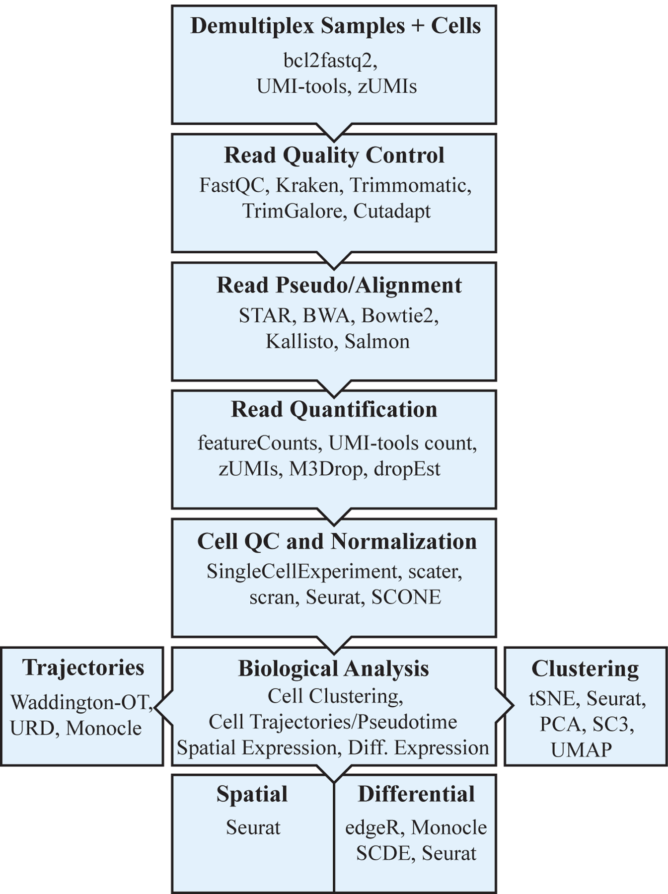 Figure 1: