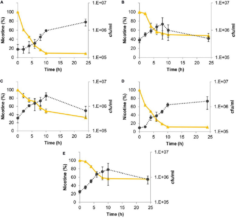 FIGURE 4