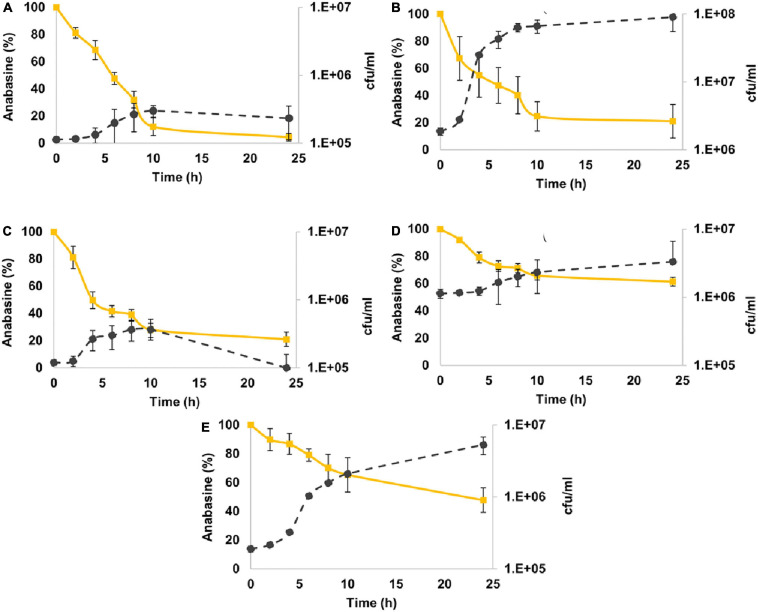 FIGURE 3