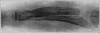 Fig. 28