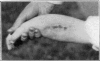 Fig. 30