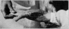 Fig. 29