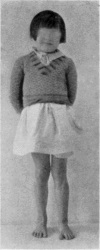 Fig. 20