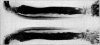 Fig. 47