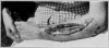 Fig. 50