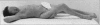 Fig. 36