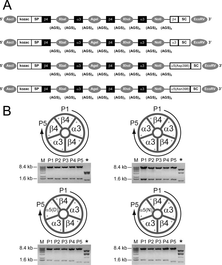 FIGURE 1.