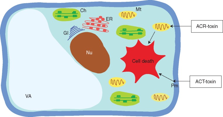 Fig. 7.