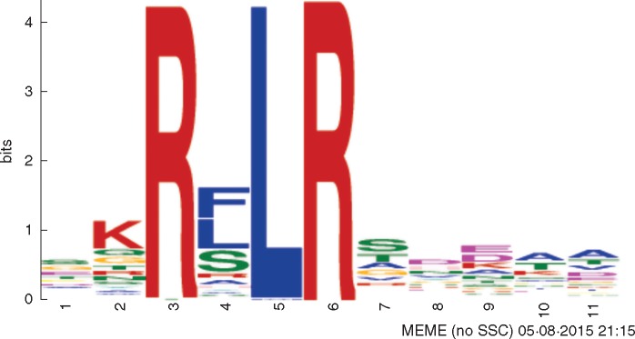 Fig. 9.