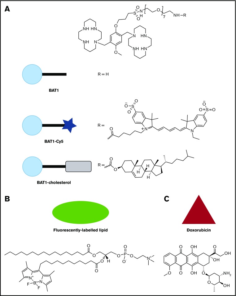 Figure 1.