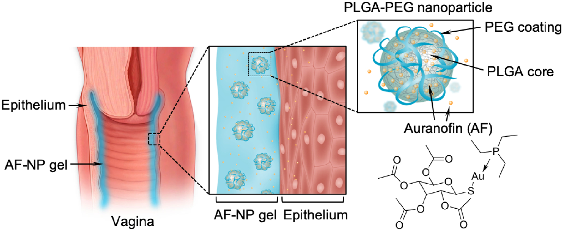 Figure 1.