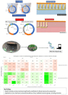 Graphical Abstract
