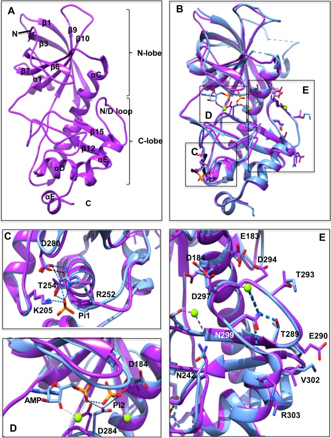 FIG 1