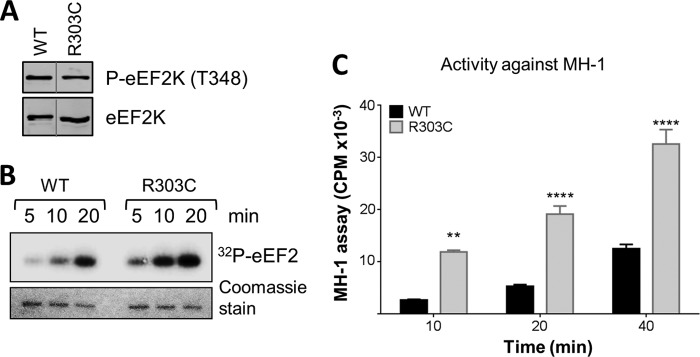 FIG 9