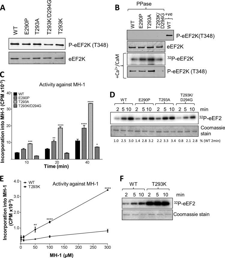 FIG 8