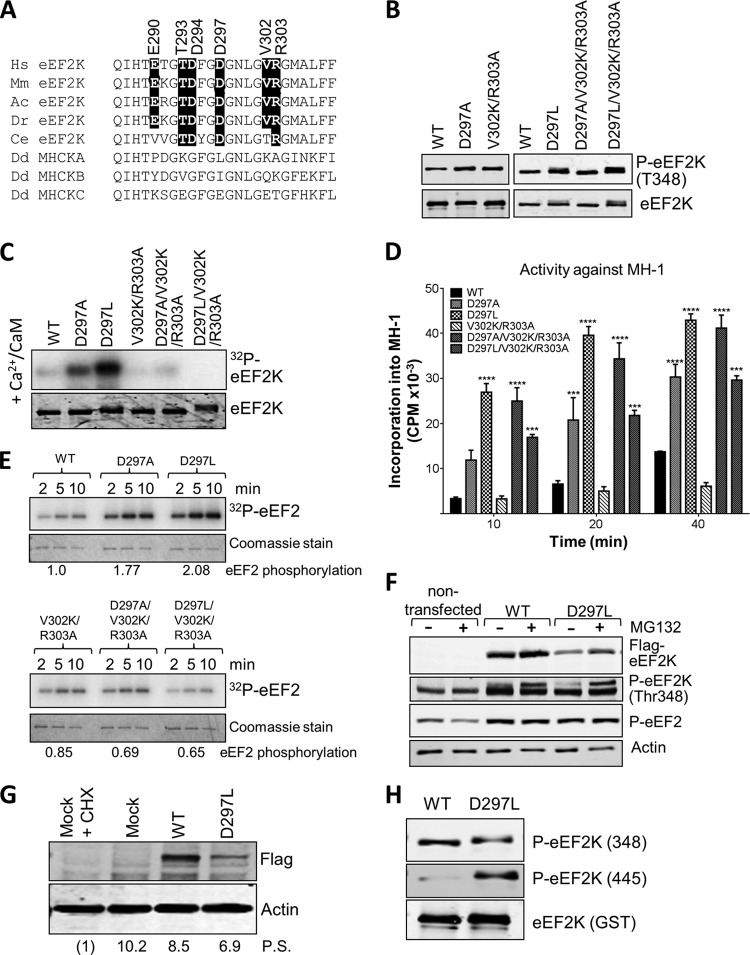 FIG 6