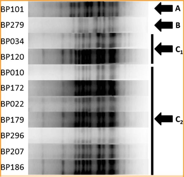 FIGURE 3