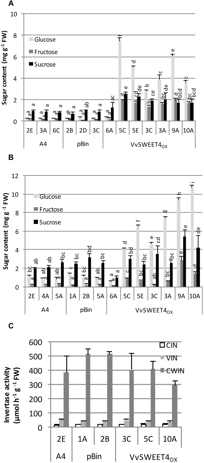 FIGURE 3