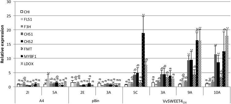 FIGURE 7