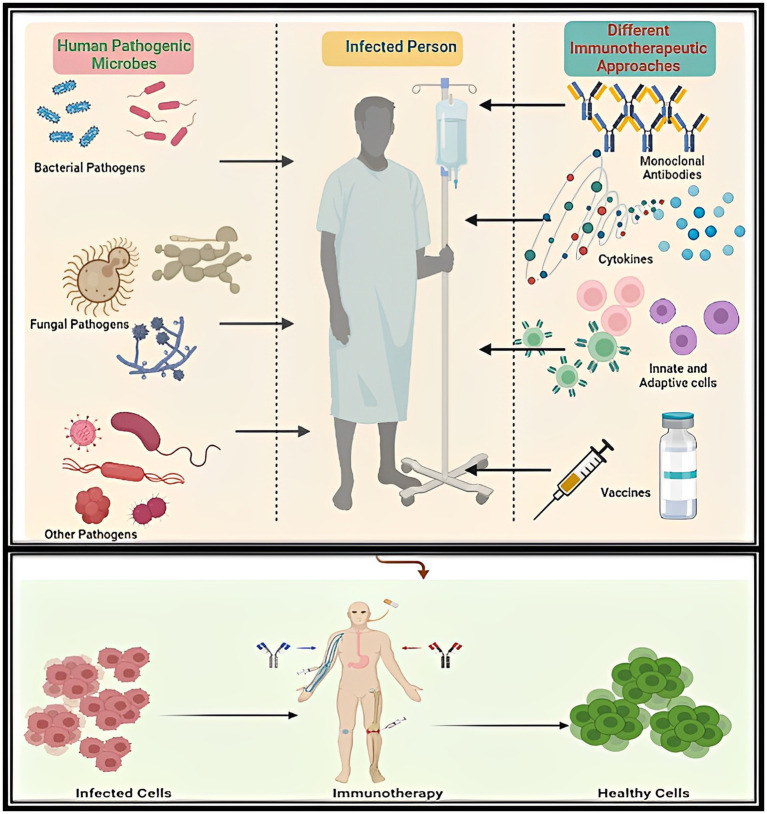 Graphical Abstract