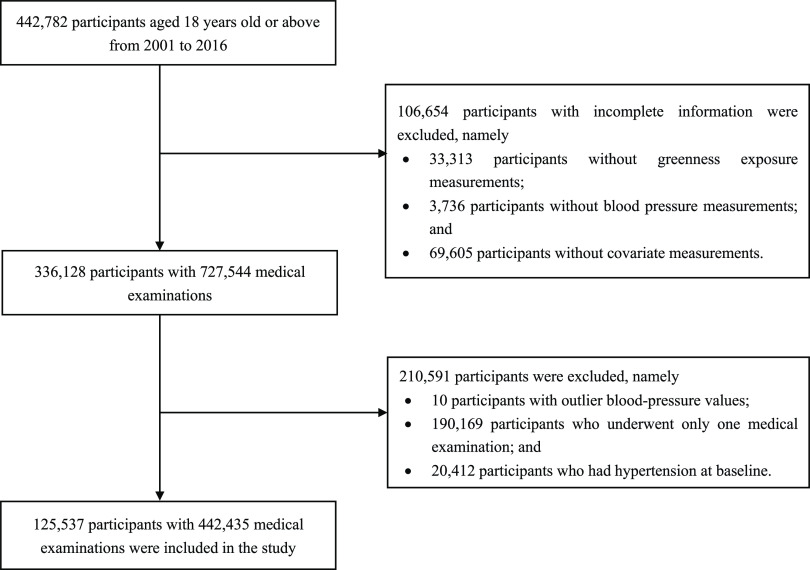 Figure 1 is a flowchart with two steps. Step 1: There were 442,782 participants aged 18 years old or older from 2001 to 2016, excluding 106,654 participants with incomplete information that included 33,313 participants without greenness exposure measurements, 3,736 participants without blood pressure measurements, and 69,605 participants without covariate measurements. After exclusion, there were 336,128 participants with 727,544 medical examinations. Step 2: There were 336,128 participants with 727,544 medical examinations, excluding 210,591 participants that include 10 participants with outlier blood pressure values, 190,169 participants who underwent only one medical examination, and 20,412 participants who had hypertension at baseline. After exclusion, there were 125,537 participants with 442,435 medical examinations included in the study.