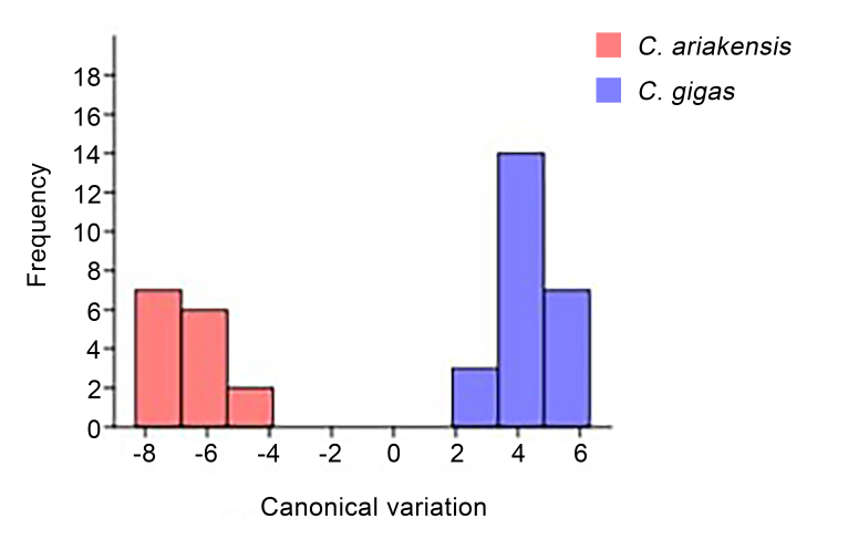 Figure 6.