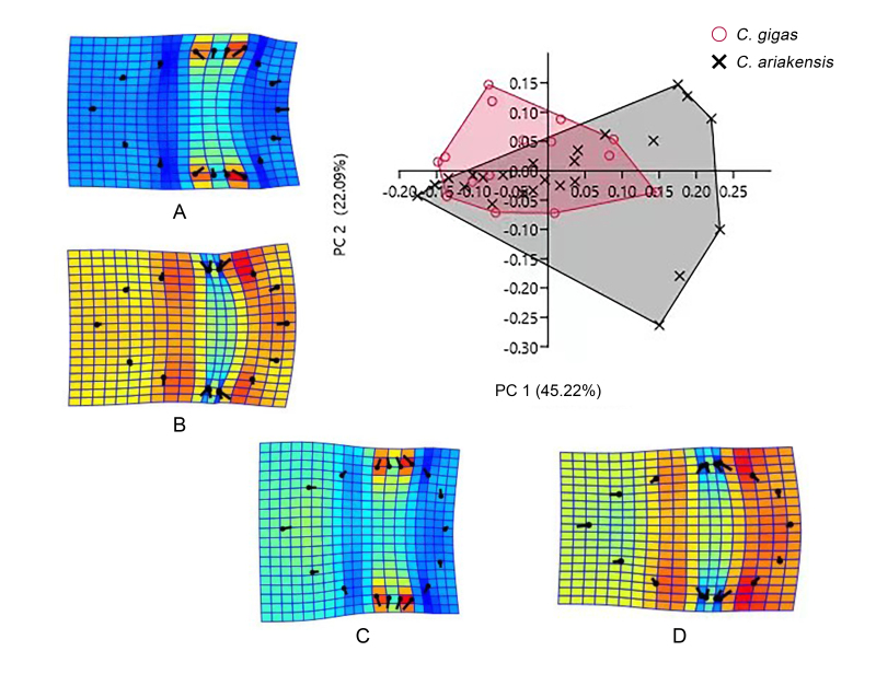 Figure 5.