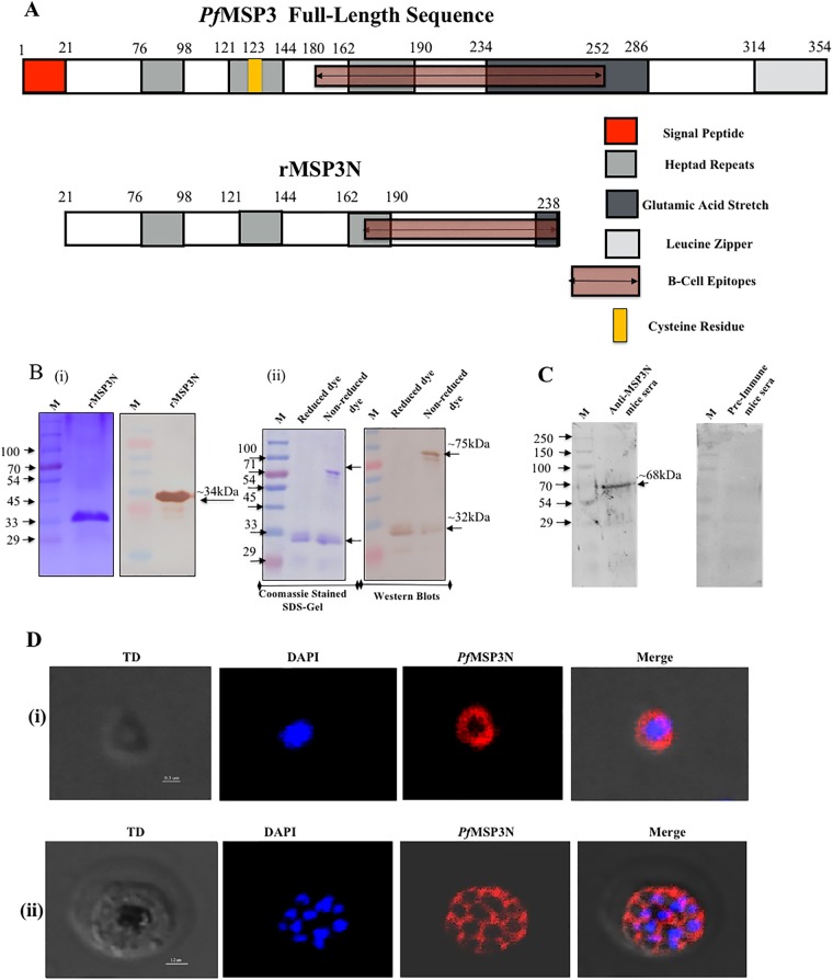 FIG 1