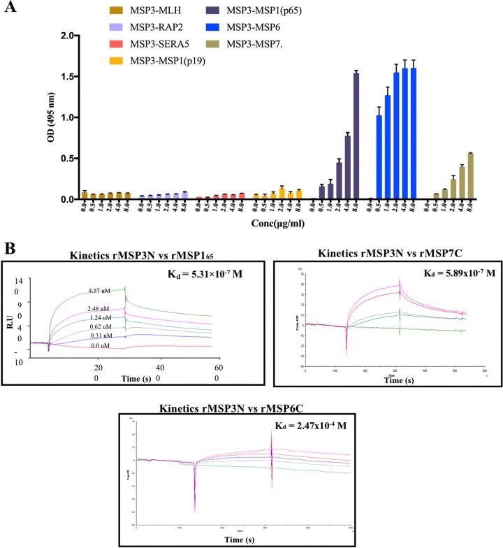 FIG 3