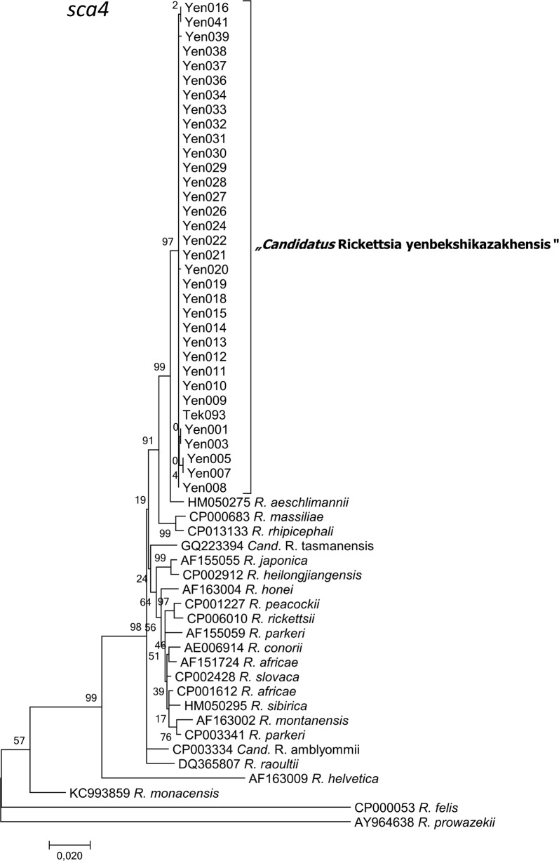 Fig. 7