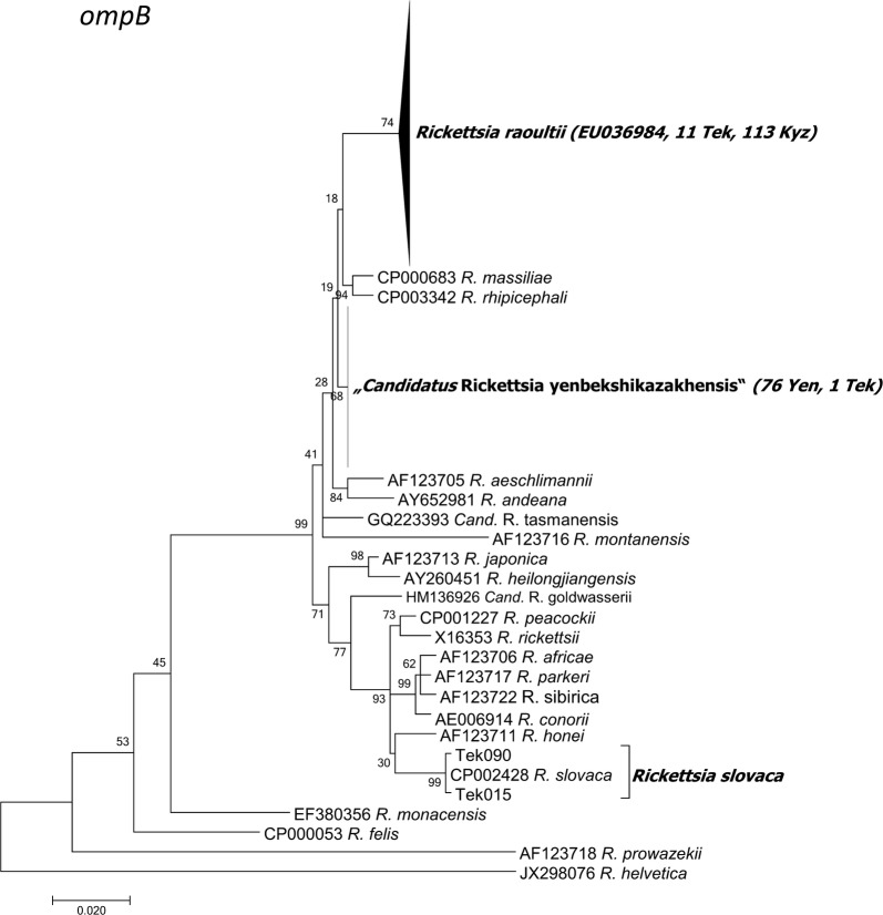 Fig. 3