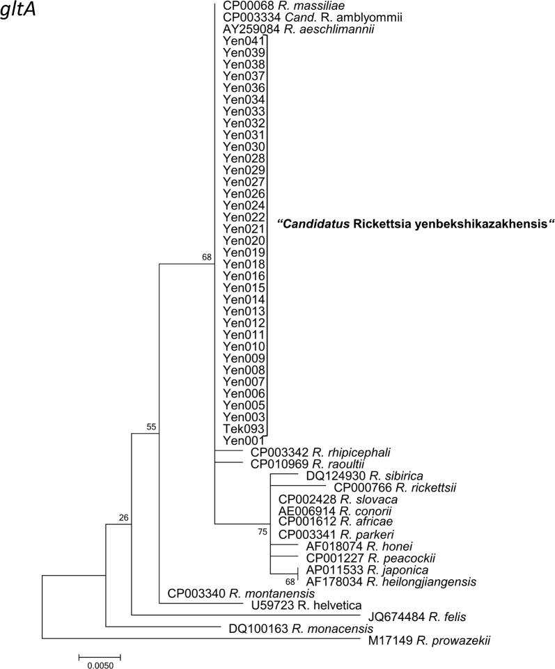 Fig. 8