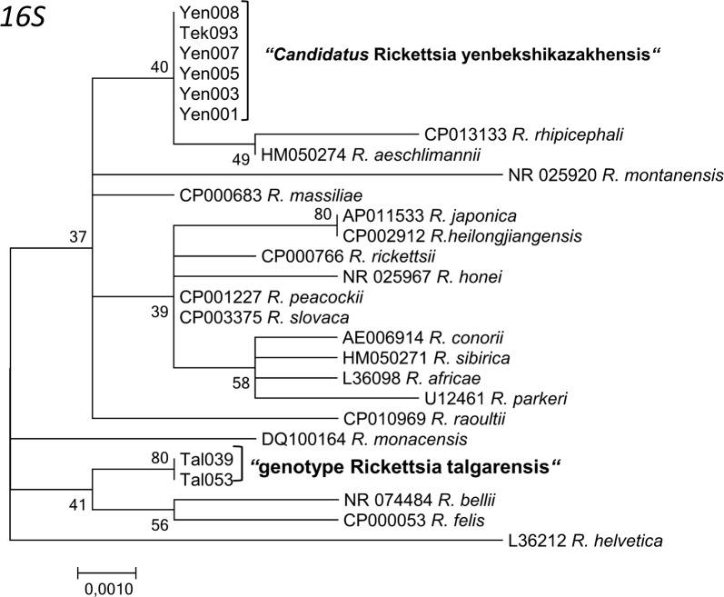 Fig. 6