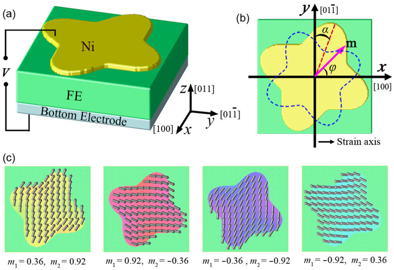 Figure 1