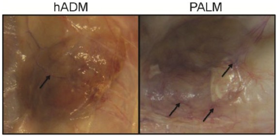 Figure 4.