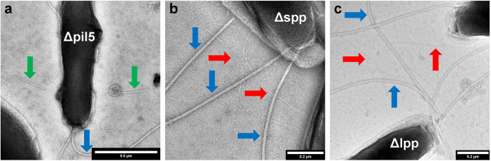 FIG 4