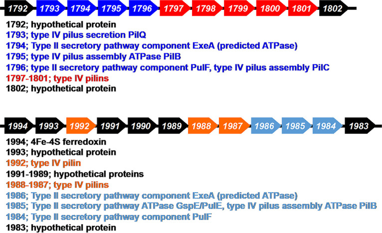 FIG 3